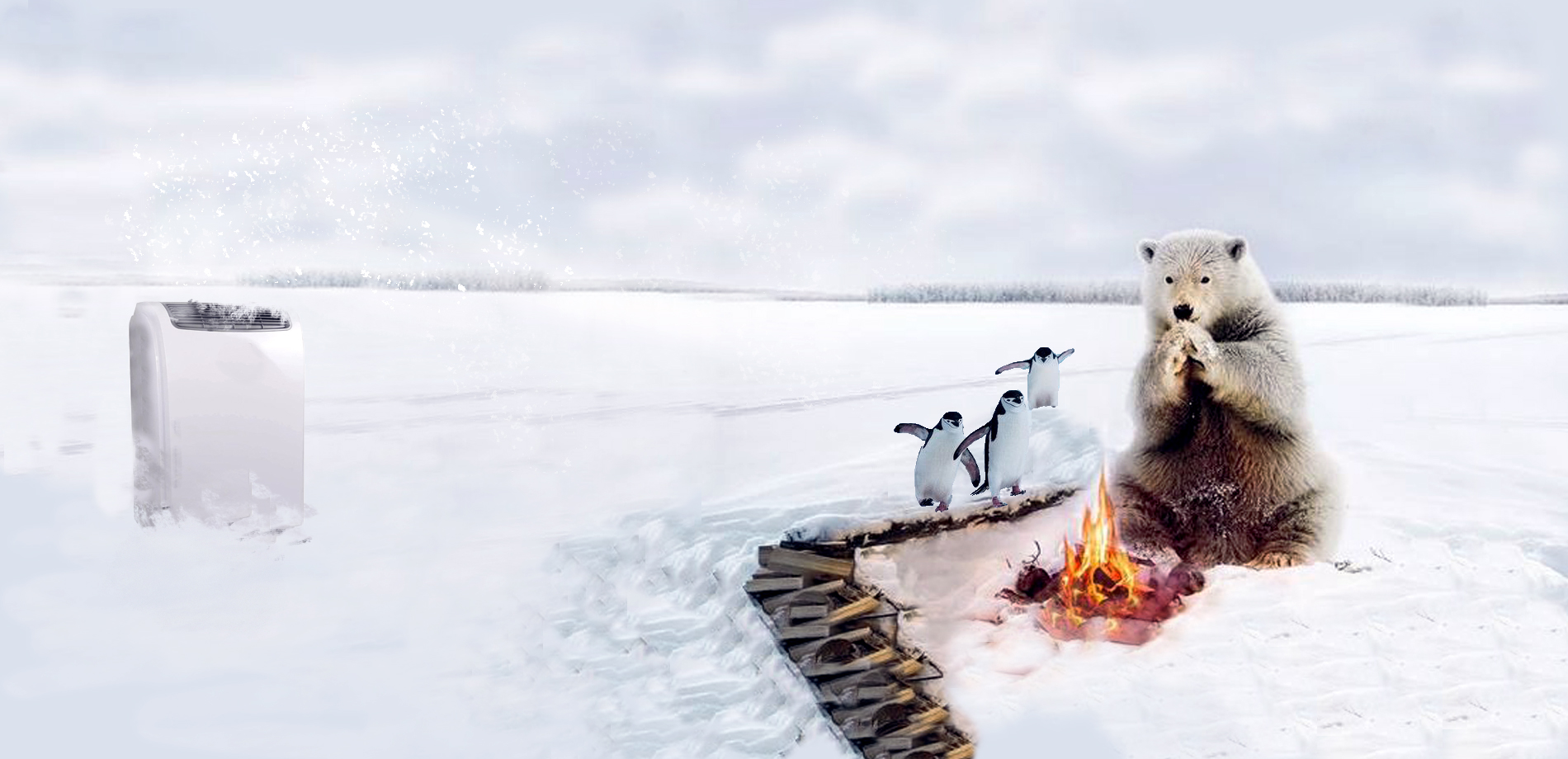 Cooling System